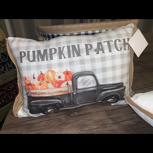 2 New accent pillows - Picture 2 of 4